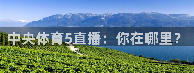 蓝鲸体育直播手机版下载：中央体育5直播：你在哪里？