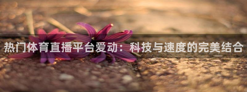 蓝鲸视频实拍：热门体育直播平台爱动：科技与速度的完美结合