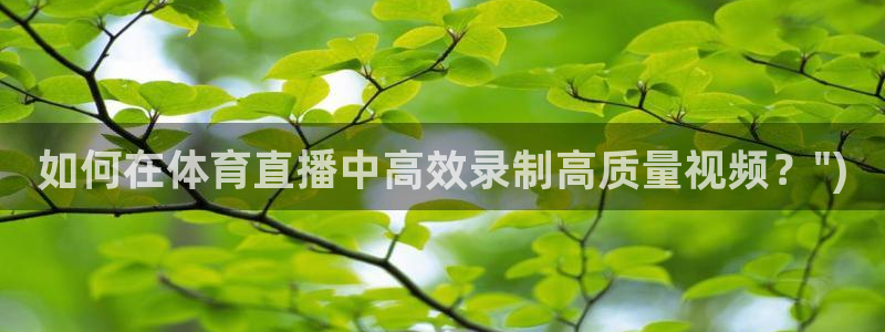 蓝鲸直播体育在线观看：如何在体育直播中高效录制高质量视频？\