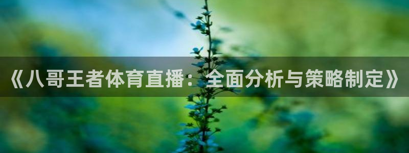 蓝鲸直播体育免费观看