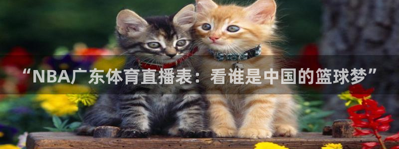 蓝鲸体育免费观看：“NBA广东体育直播表：看谁是中国的篮球梦”
