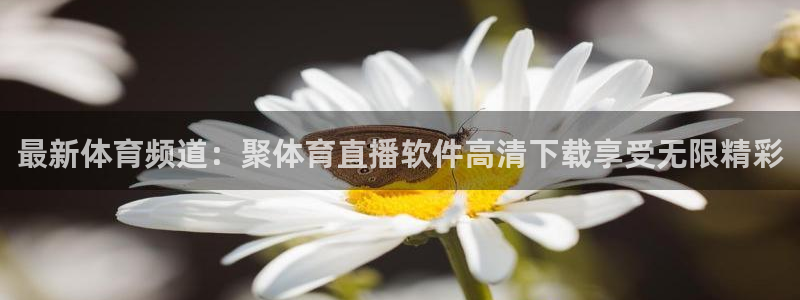 蓝鲸下载：最新体育频道：聚体育直播软件高清下载享受无限精彩